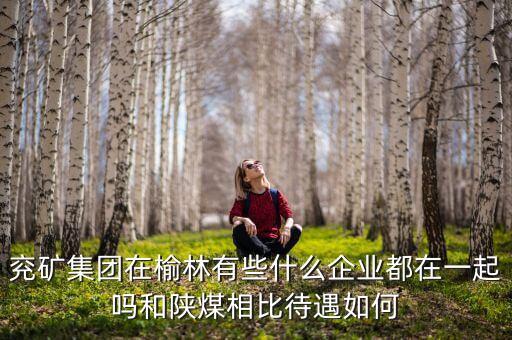兗州煤業(yè)公司經營什么，兗礦集團在榆林有些什么企業(yè)都在一起嗎和陜煤相比待遇如何