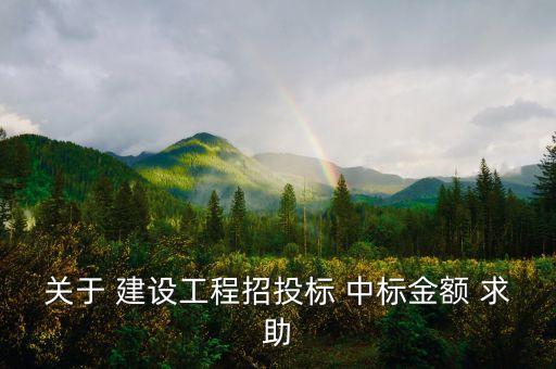 中標金額是什么，關(guān)于 建設(shè)工程招投標 中標金額 求助