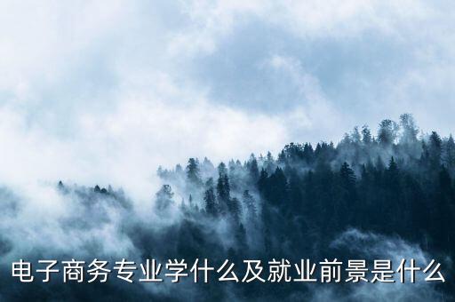電子商務(wù)專(zhuān)業(yè)學(xué)什么及就業(yè)前景是什么