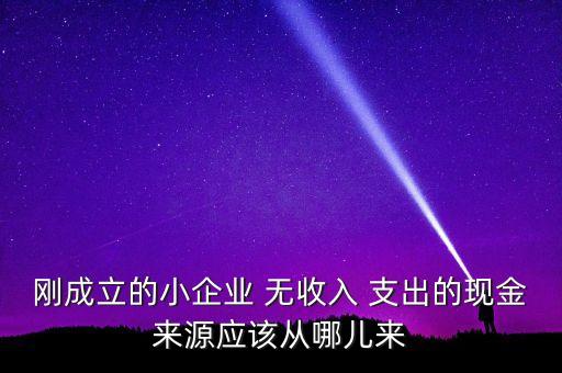 小企業(yè)主為什么沒現(xiàn)金，剛成立的小企業(yè) 無收入 支出的現(xiàn)金來源應該從哪兒來