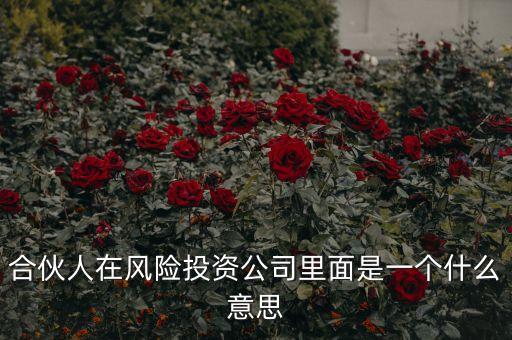 vc合伙人是什么，風(fēng)險(xiǎn)投資公司中的合伙人和經(jīng)理人都是什么意思