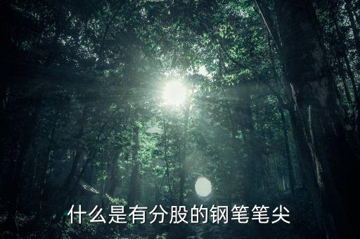鋼筆頭分股是什么樣的，什么是有分股的鋼筆筆尖