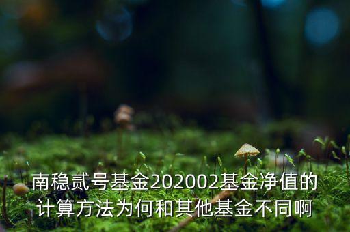 南穩(wěn)二號為什么要分紅，南穩(wěn)貳號基金202002基金凈值的計算方法為何和其他基金不同啊