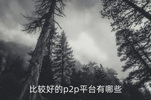 什么p2p平臺比較靠譜，請問國內(nèi)P2P平臺哪家比較安全可靠點(diǎn)想了解下