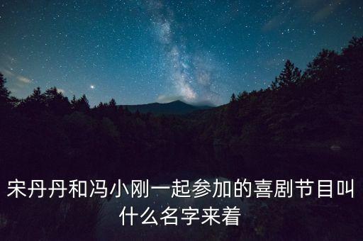 宋丹丹馮小剛的評委節(jié)目是什么，歡樂喜劇人評委都有誰