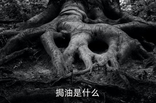 粵油是什么，輕質(zhì)油在炒原油里的什么油比如什么大連油粵油