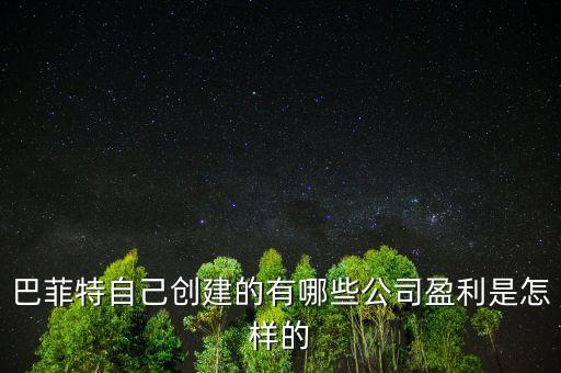 巴菲特是想收購(gòu)中國(guó)的什么公司，巴菲特自己創(chuàng)建的有哪些公司盈利是怎樣的