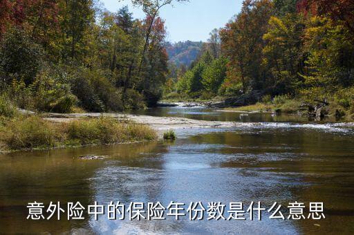 保險(xiǎn)數(shù)目指什么，意外險(xiǎn)中的保險(xiǎn)年份數(shù)是什么意思