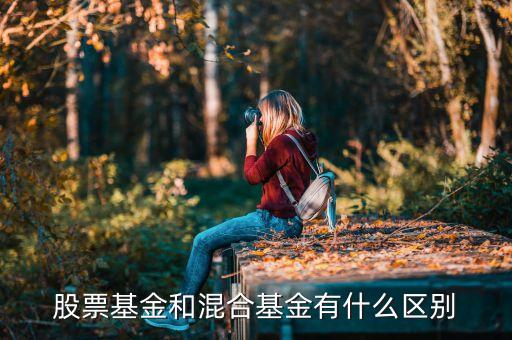 混合基金和股票基金有什么區(qū)別，混合基金和股票基金的區(qū)別在哪