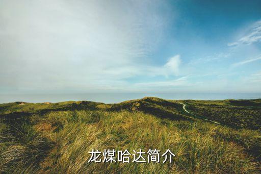  龍煤哈達(dá)簡介