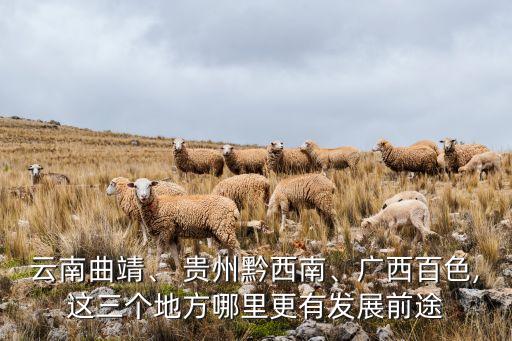 云南曲靖、 貴州黔西南、廣西百色,這三個(gè)地方哪里更有發(fā)展前途