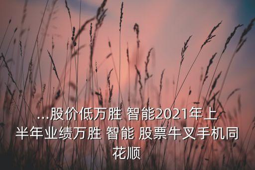 ...股價(jià)低萬勝 智能2021年上半年業(yè)績?nèi)f勝 智能 股票牛叉手機(jī)同花順