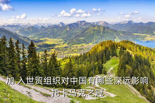 加 入世貿(mào)組織對(duì)中國有哪些深遠(yuǎn)影響托卡馬克之冠