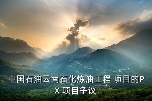 中國石油云南石化煉油工程 項(xiàng)目的PX 項(xiàng)目爭議