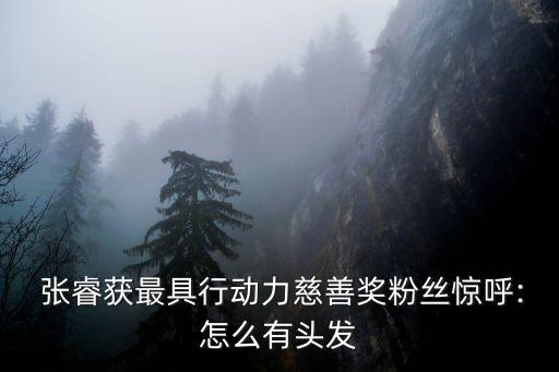 張?；饦I(yè)績(jī),2022基金業(yè)績(jī)排行榜