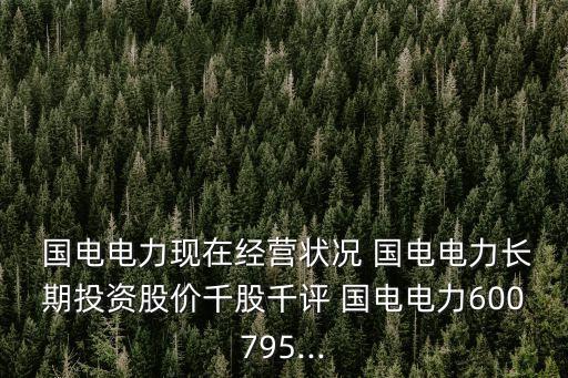 國(guó)電投問(wèn)世股票,南瑞國(guó)電股票