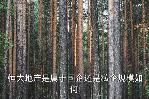 恒大集團組織結(jié)構分析