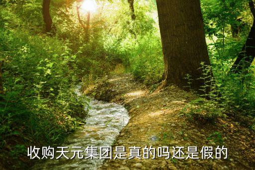 收購(gòu)天元集團(tuán)是真的嗎還是假的