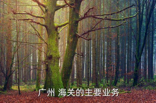  廣州 海關的主要業(yè)務