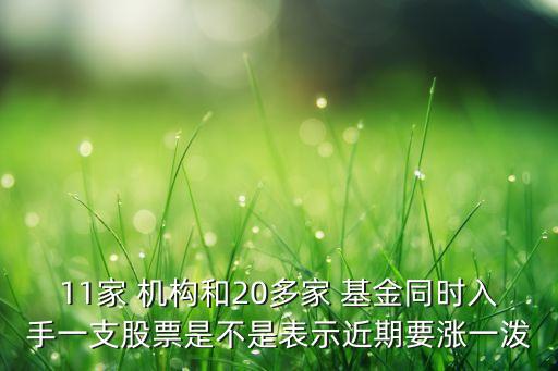 哪些機(jī)構(gòu)基金買(mǎi)入東方精工