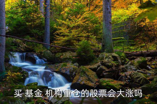 買 基金 機(jī)構(gòu)重倉的股票會(huì)大漲嗎