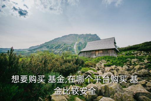 想要購買 基金,在哪個(gè)平臺(tái)購買 基金比較安全