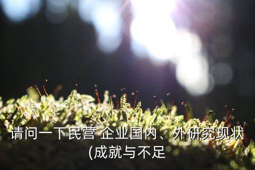 請問一下民營 企業(yè)國內(nèi)、外研究現(xiàn)狀(成就與不足