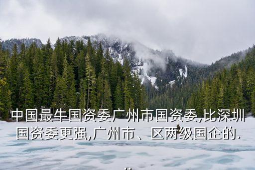 中國(guó)最牛國(guó)資委廣州市國(guó)資委,比深圳國(guó)資委更強(qiáng),廣州市、區(qū)兩級(jí)國(guó)企的...