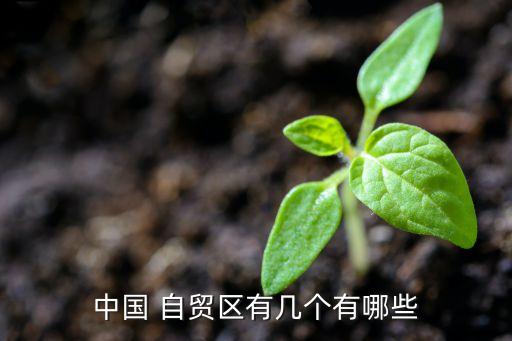 上海自貿區(qū)公布時間,上海臨港自貿區(qū)