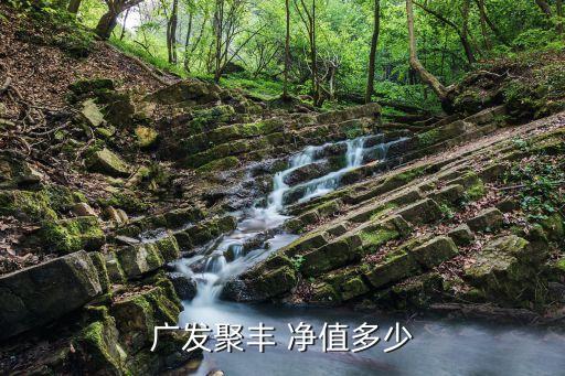 廣發(fā)基金凈值查詢(xún),010594廣發(fā)基金凈值查詢(xún)