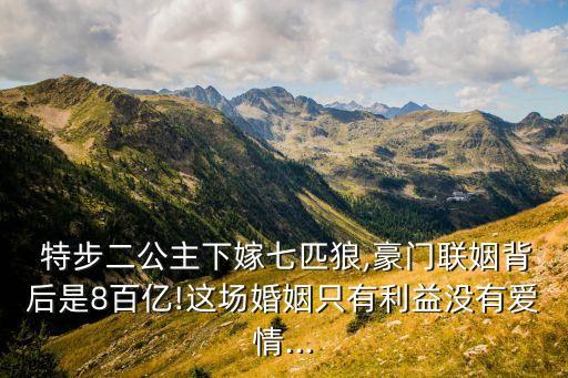  特步二公主下嫁七匹狼,豪門聯(lián)姻背后是8百億!這場(chǎng)婚姻只有利益沒有愛情...