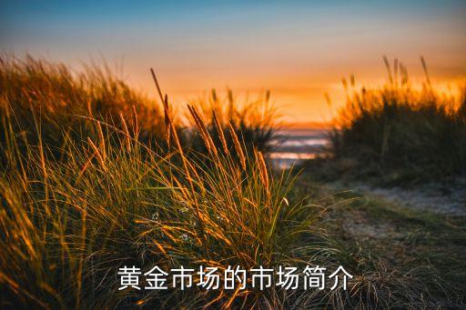 黃金儲(chǔ)備最多的公司,世界上黃金儲(chǔ)備量最多的國家