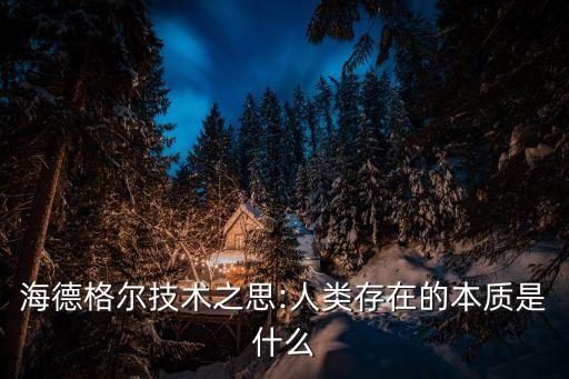 海德格爾技術(shù)之思:人類(lèi)存在的本質(zhì)是什么