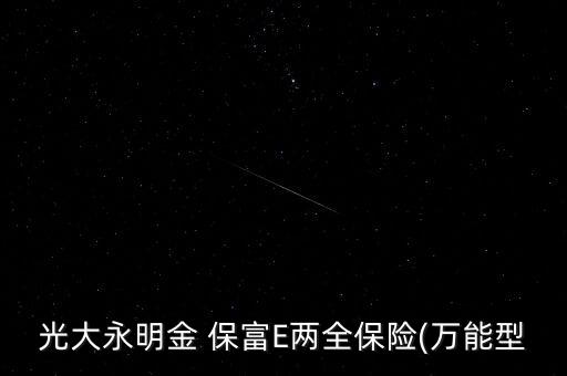 光大永明金 保富E兩全保險(xiǎn)(萬能型