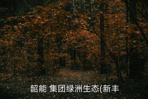 廣東韶能集團清遠(yuǎn)發(fā)電廠,韶能集團新豐生物質(zhì)發(fā)電廠