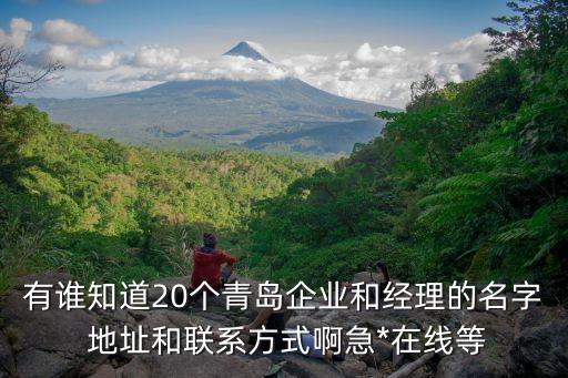 有誰知道20個青島企業(yè)和經理的名字 地址和聯(lián)系方式啊急*在線等