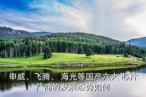 申威、飛騰、 海光等國產(chǎn)六大 芯片廠商的發(fā)展態(tài)勢如何