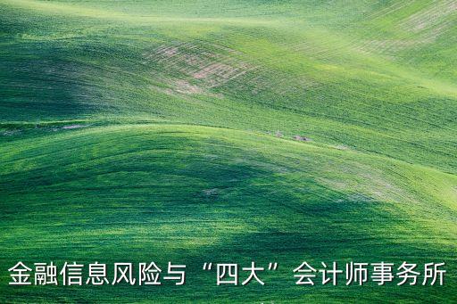 金融信息風險與“四大”會計師事務(wù)所
