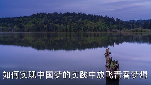 如何實(shí)現(xiàn)中國夢的實(shí)踐中放飛青春夢想