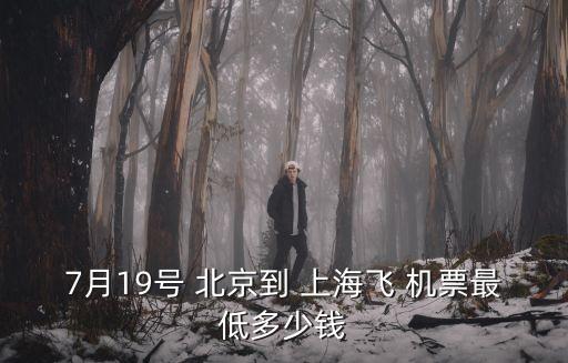 北京到上海機(jī)票都下來多少錢,上海到北京首都機(jī)場(chǎng)機(jī)票