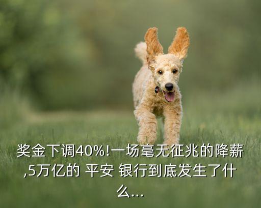 獎(jiǎng)金下調(diào)40%!一場(chǎng)毫無(wú)征兆的降薪,5萬(wàn)億的 平安 銀行到底發(fā)生了什么...