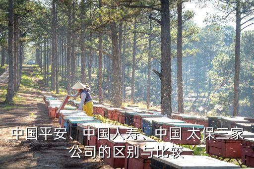 中國(guó)平安、中國(guó)人壽、中國(guó) 太保三家公司的區(qū)別與比較