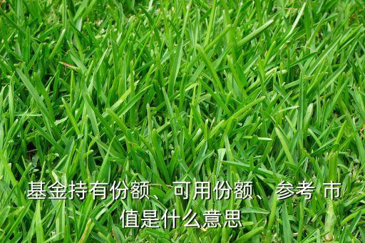  基金持有份額、可用份額、參考 市值是什么意思