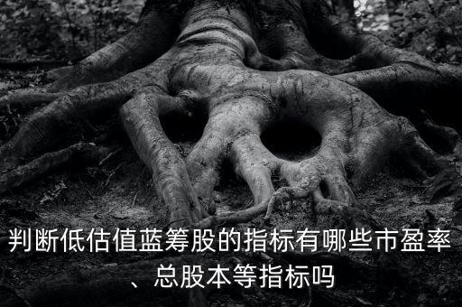 判斷低估值藍籌股的指標有哪些市盈率、總股本等指標嗎