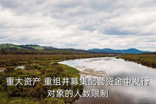 重大資產 重組并募集配套資金中發(fā)行對象的人數(shù)限制