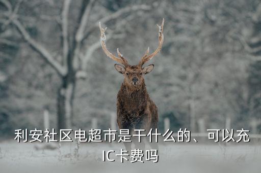  利安社區(qū)電超市是干什么的、可以充IC卡費(fèi)嗎