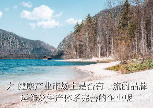 大 健康產業(yè)市場上是否有一流的品牌運作及生產體系完善的企業(yè)呢