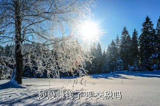 買賣股票收入要交稅呢,公司二級(jí)市場買賣股票要交稅嗎