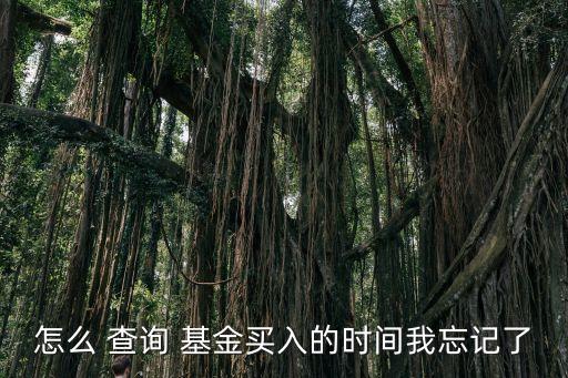 封閉式基金到期日查詢(xún),深圳封閉式基金賬戶(hù)怎么查詢(xún)