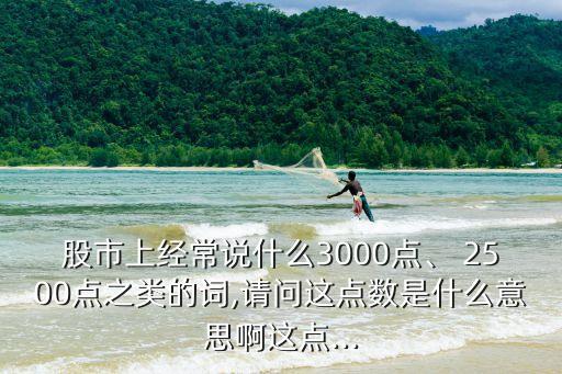 股市上經(jīng)常說什么3000點(diǎn)、 2500點(diǎn)之類的詞,請(qǐng)問這點(diǎn)數(shù)是什么意思啊這點(diǎn)...